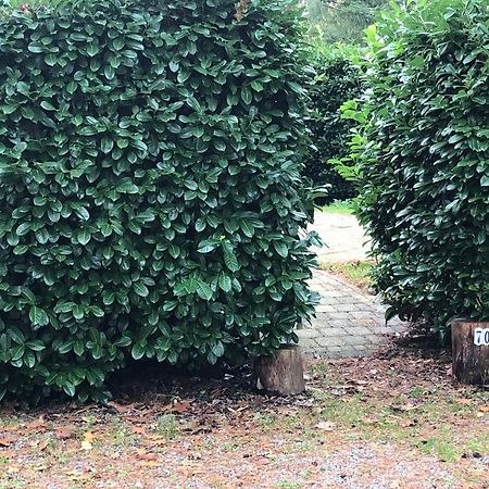 Vrijstaand Chalet In Bospark Villa Hattemerbroek Dış mekan fotoğraf